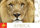 Excursões MDE frica